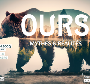 Ours, mythes et réalités